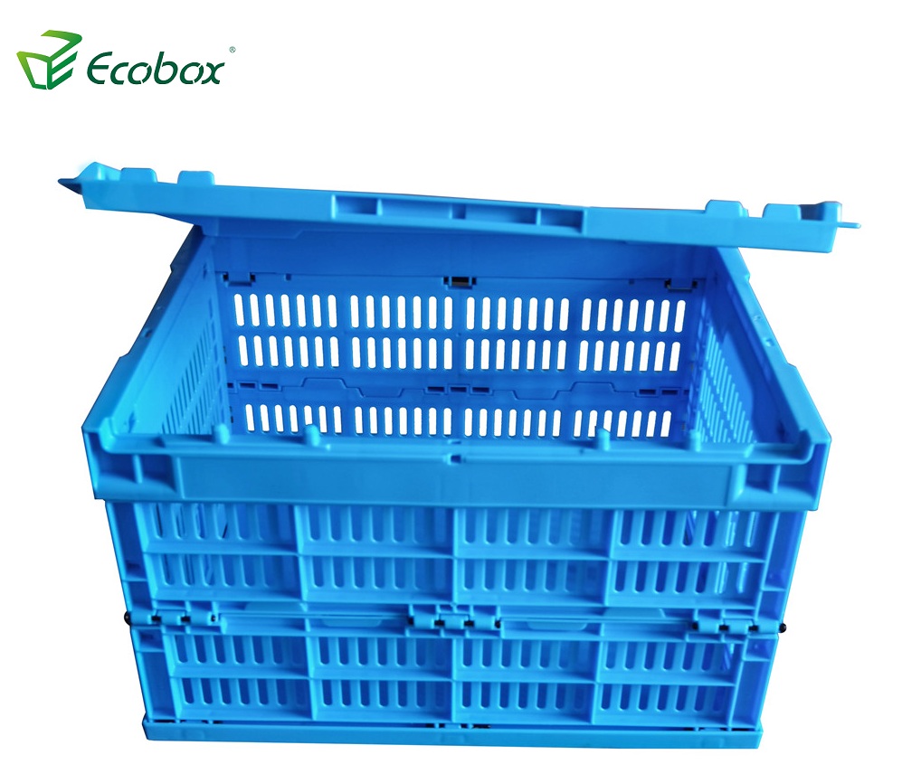 Caixa de acampamento dobrável dobrável de cor azul Ecobox 