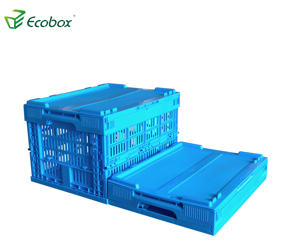 Caixa de acampamento desmontável dobrável da cor azul do ecobox